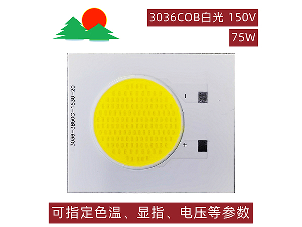 3036COB-白光-75W-150V--发光面21mm