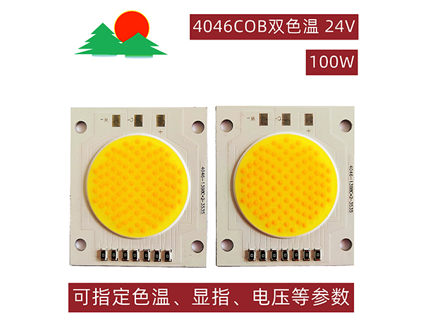 4046COB双色温-100W-24V-发光面30mm