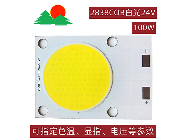 2838COB-白光-100W-24V-发光面23mm