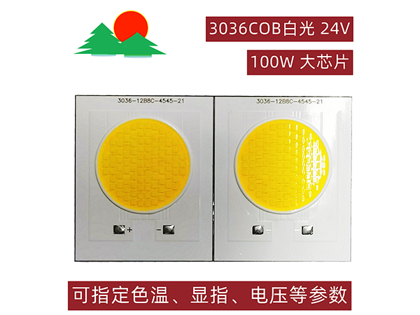 3036COB-白光-100W-24V-发光面21mm