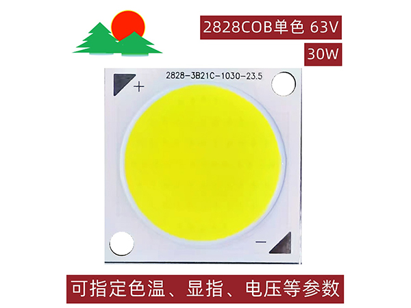 2828COB白光-30W-63V-发光面23.5mm