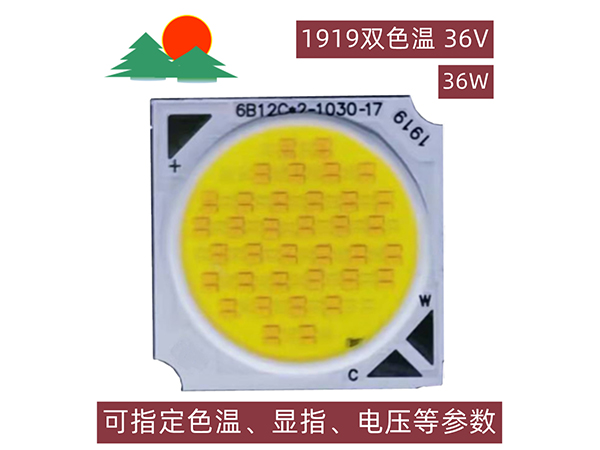 1919COB双色温-36W-36V-发光面17mm