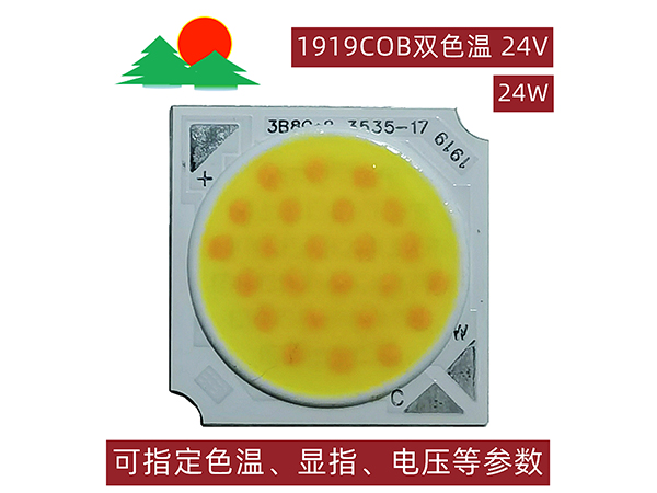 1919COB双色温24W-24V-发光面17mm